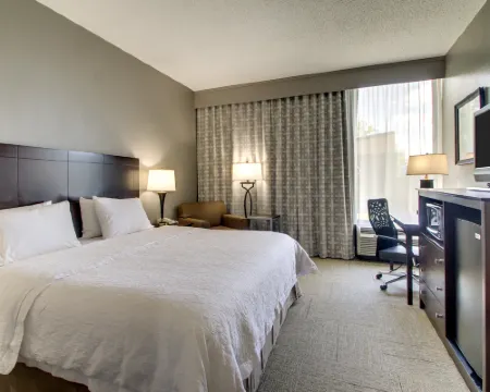 ハンプトン イン ロラ ローラのホテル