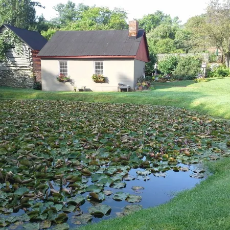 Countryside Cabin with Mountain Views near Surreybrooke Gardens
