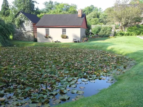 Countryside Cabin with Mountain Views near Surreybrooke Gardens