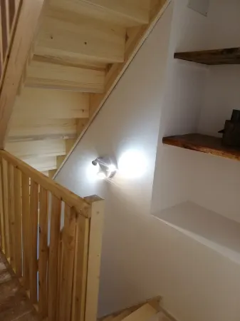 The pigeon fancier's house