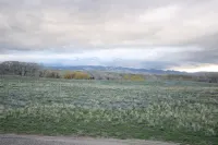 The View at Lake Desmet!