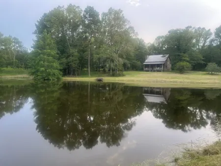 Secluded getaway cabin on 50 acres in the beautiful woods of Utica, MS.