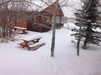 Aspen Cabin sits within the Mt Peale Animal Sanctuary, ideal for the adventurer