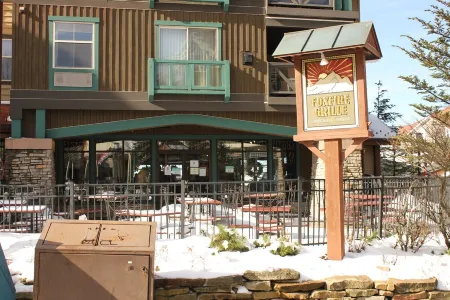 First Floor Allegheny Springs with Private Entrance-free pool use,slopeside,A/C