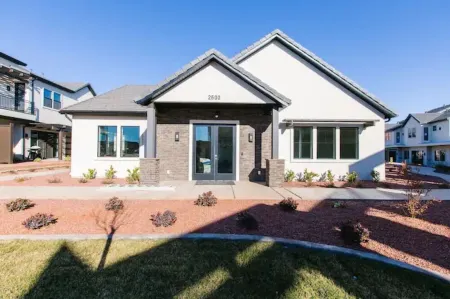 Ocotillo Springs #15