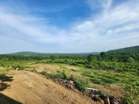 Small cottage house, centered on 100 acres surround by hills, lake, and cattle.