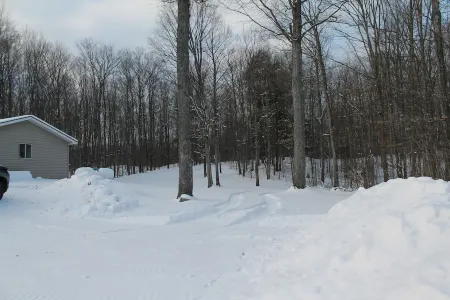 Deer-View Cabin - Remodeled Cabin with Spacious Yard and Cozy Living