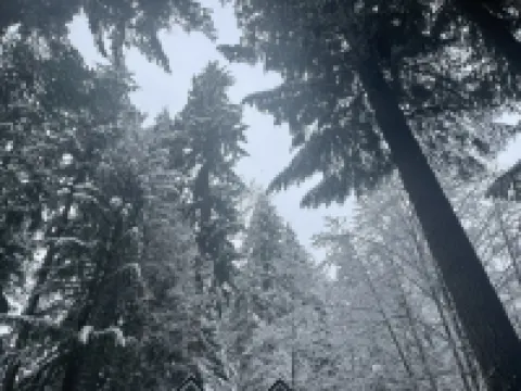 Mt Rainier One Bedroom + Loft Cabin with Hot Tub