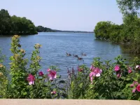 Bright and peaceful Galena retreat. Near amenities and Chestnut