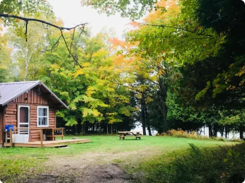 Cabin on lake with sauna - pets ok. Kayaks and boat provided.