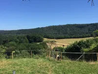 romantic holiday home Hotels in Simmerath