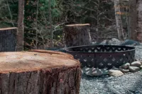 Mountain Cabin Bordering State Park. Hiking, Private. Special Place, Great View! Hotels in Duxbury