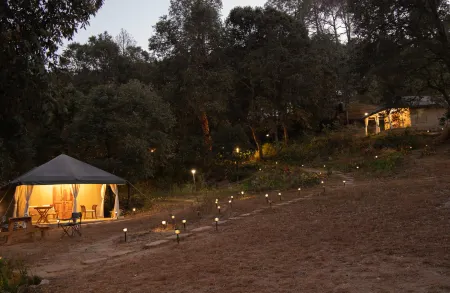 Nayalap - Rural Himalayan Glamping Отели в г. Алмора