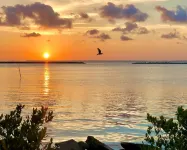 Come Experience “Island Time” with Us