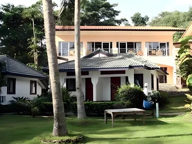 รูปภาพของปลาโลมา คลิฟ