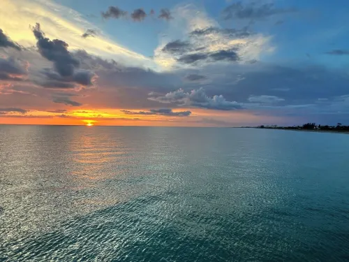 Laughing Gull at Shorebirds 3min walk to beach Sunsets! Kayaks Bikes and More!