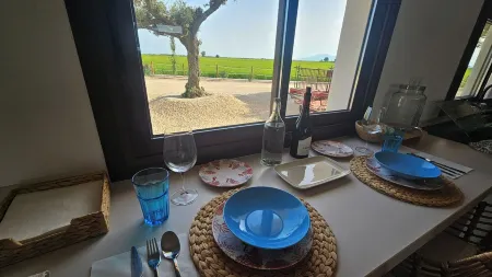 MASOS BRUGUERA - FINCA LLAMBRICH