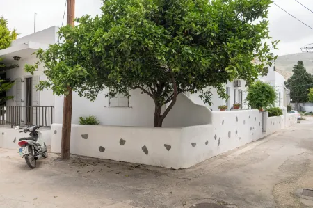 Parikia's Urban Oasis