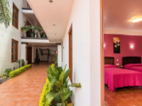 ホテル デル マルケサド オアハカのホテル