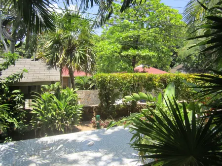 Coconut Tree West End