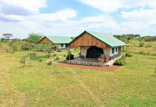 아프리카 사파리 세렝게티 이코마