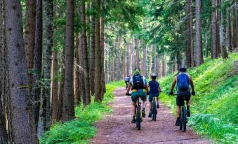 Apartment in Pobierowo Near Baltic Beach