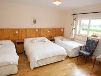 던 크로메인 B&B