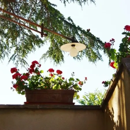 La Tavola Dei Cavalieri