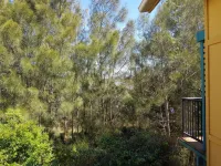 Noosa Holiday Accommodation