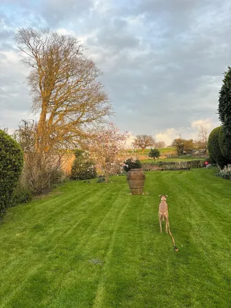 Ellesmere House Отели в г. Лидфорд-он-Фосс