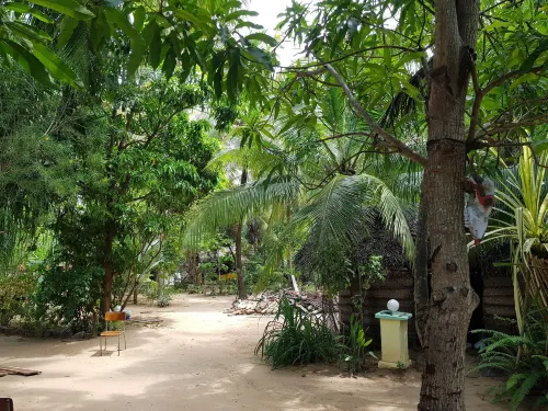 Star Hotel Arugambay Hotels in Pottuvil