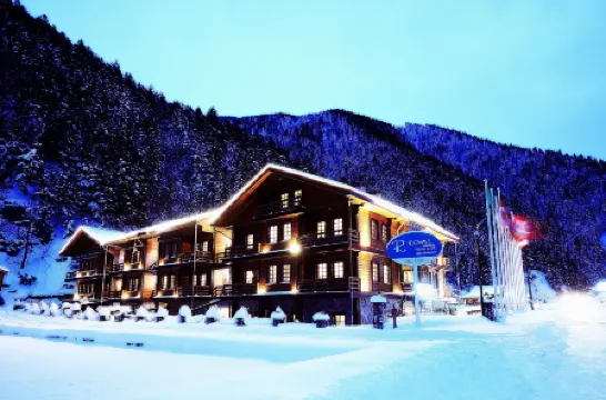 Royal Uzungol Hotel&Spa Отели в г. Узунгёль