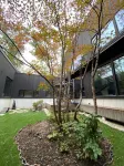 Nivia - Villas