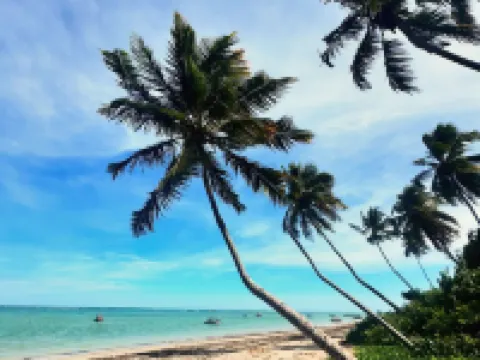 Le Petit Suítes Praia de Lages Hotels in Porto de Pedras