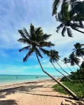 Le Petit Suítes Praia de Lages -  Privatzimmer