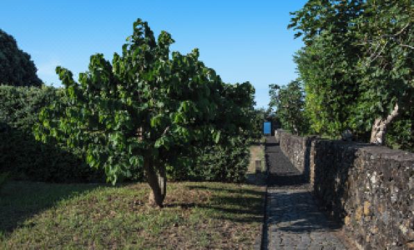 Entre Muros - Turismo Rural - Casa Com Jardim e Acesso Direto ao Mar