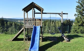Chalet in Dolní Brusnice Near Ski Lift, Cleaning Included