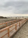 Holiday beach flea near the beach