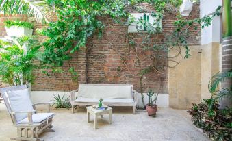 El Cactus Luxury Apartments in Historic Center