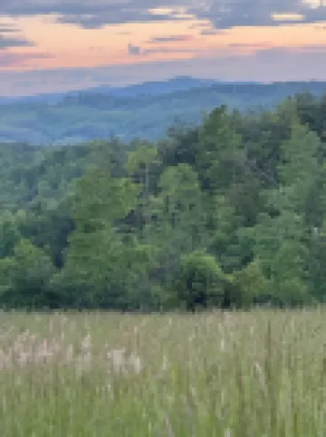 A Hopeful Mountain - 10 mins from Galax & the Blue Ridge Parkway!
