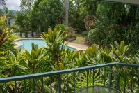 Beachfront Apartments on Trinity Beach - Beach