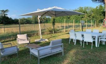 B & B Chic