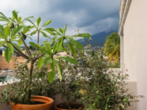 Hotel Boutique Gloriagave Hotels in Tequila