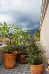 Hotel Boutique Gloriagave Hotels in Tequila