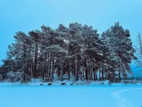 Romantic Cabin Right on the Lake with Fire Place Hôtels à : Hedemora