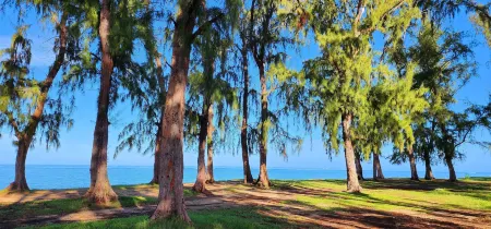 Phoenix Beach Apartments Sea View Отели в г. Флик ан Флак