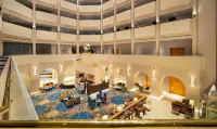 Radisson Blu Hotel and Resort Al Ain - Business