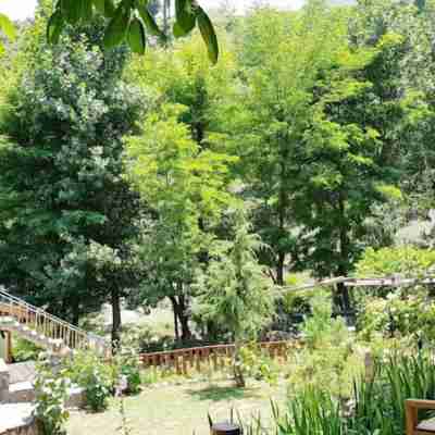 Walnut Heights by Roomy, Kalam Hotel Exterior