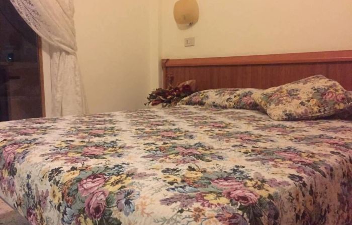 Hotel Viola