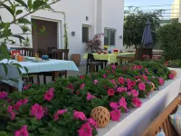 Behlys Boutique Hotels in Muscat